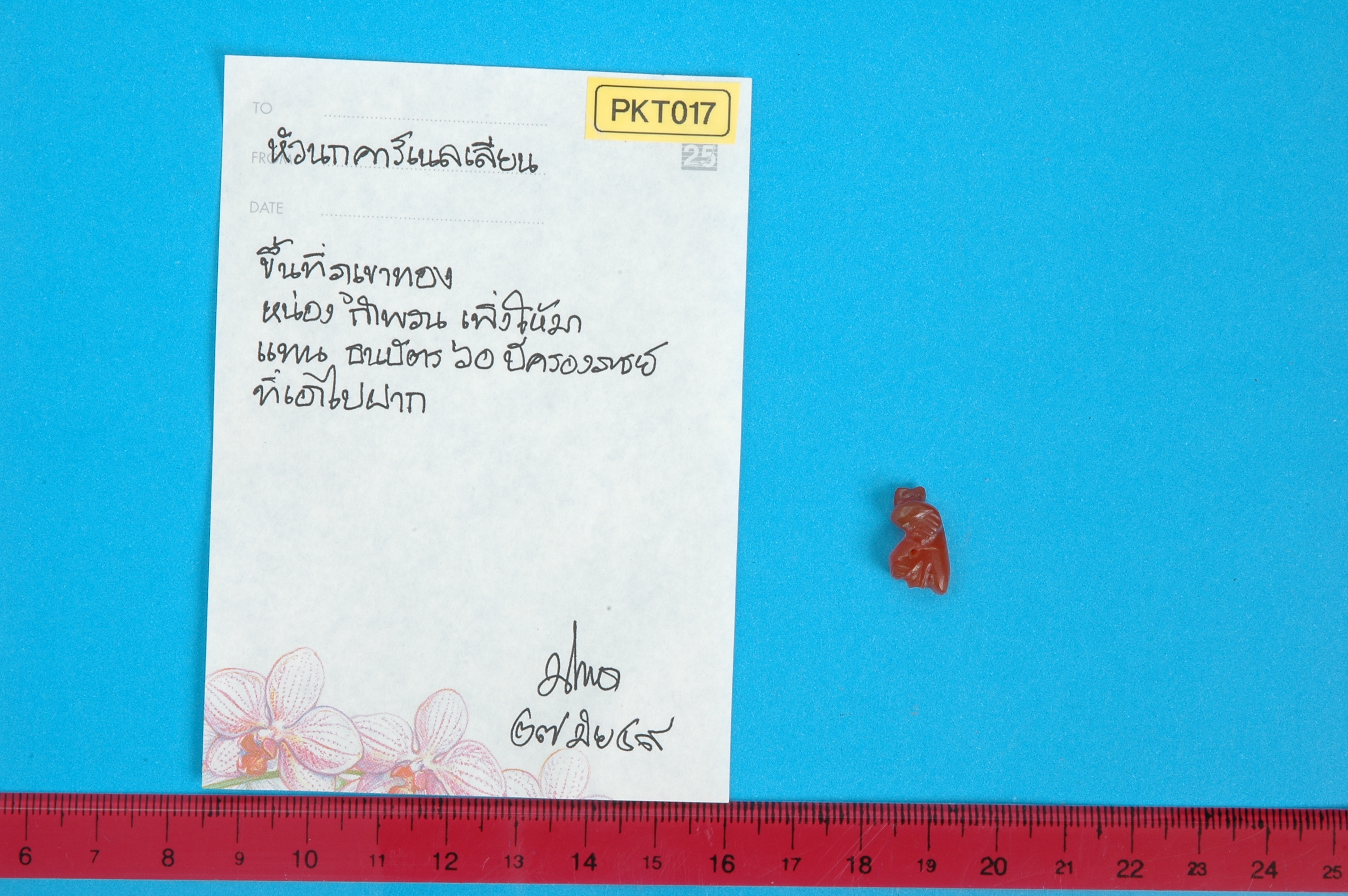 PKT 017.jpg